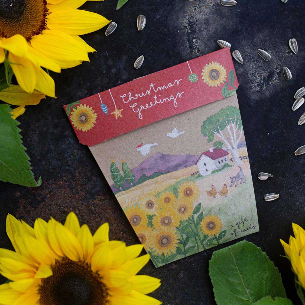 Christmas Sunflower Gift of Seeds (Australia only)
