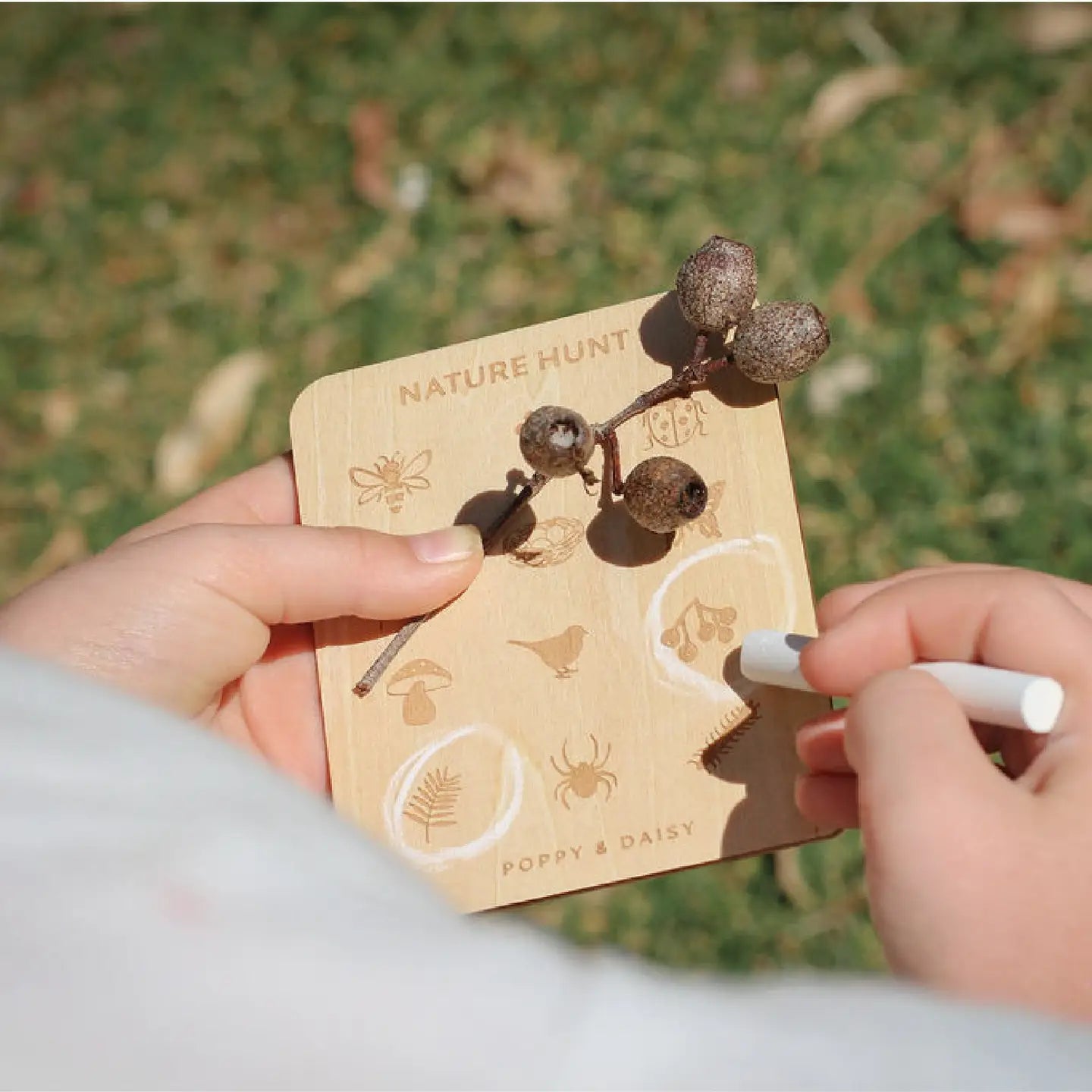 Nature Hunt Mini