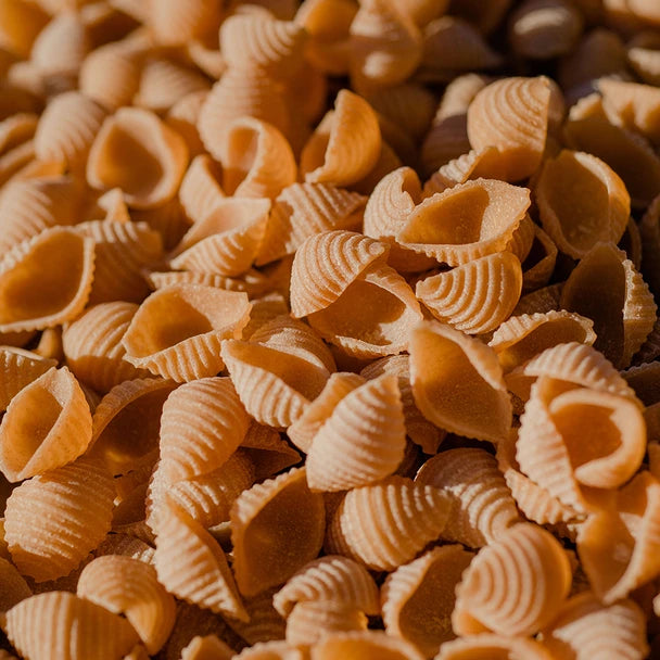 Berkelo Sourdough Pasta Shells