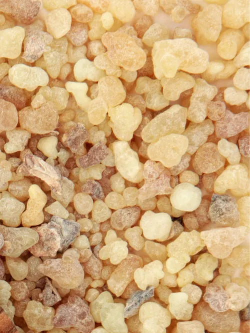 Frankincense Gum Olibanum Resin, Ethiopian Boswellia