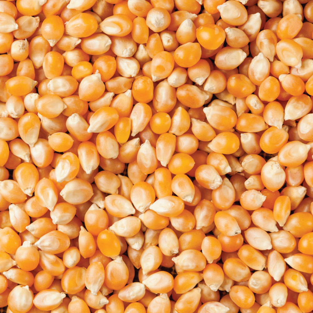 Honest To Goodness Organic Popcorn Kernels