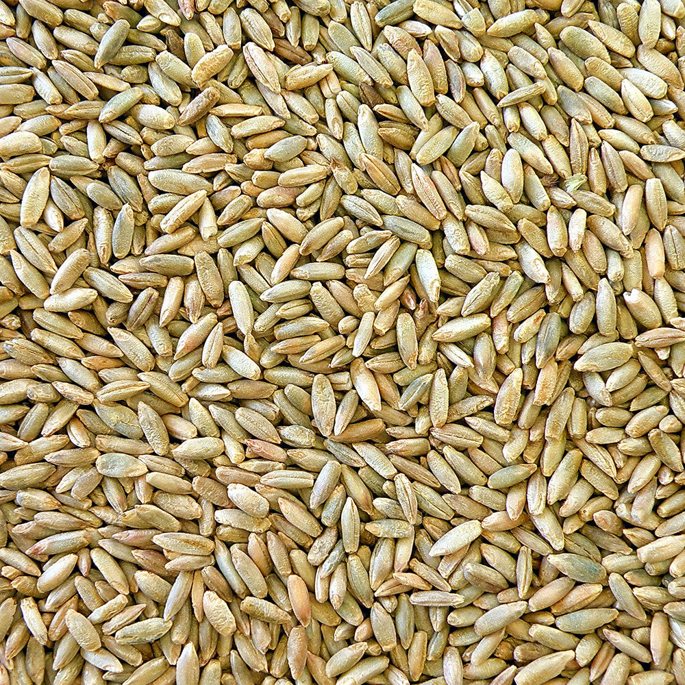 Honest To Goodness Organic Rye Grain