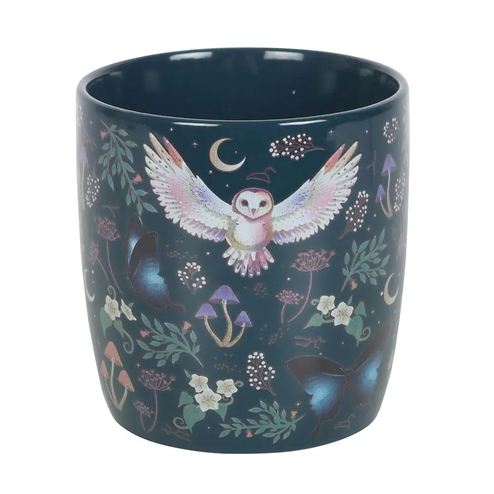 Cups, Saucers & Trinket dishes = Wonder imports