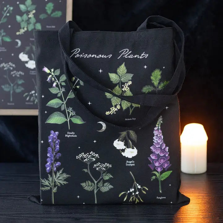 Bags, Purses and Wallets = Wonder imports
