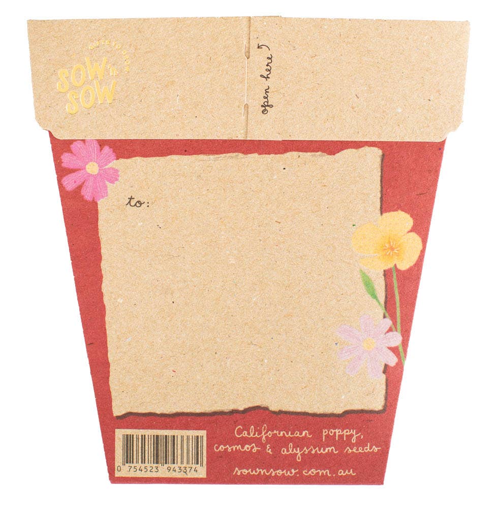 Christmas Wildflowers Gift of Seeds (Australia only)