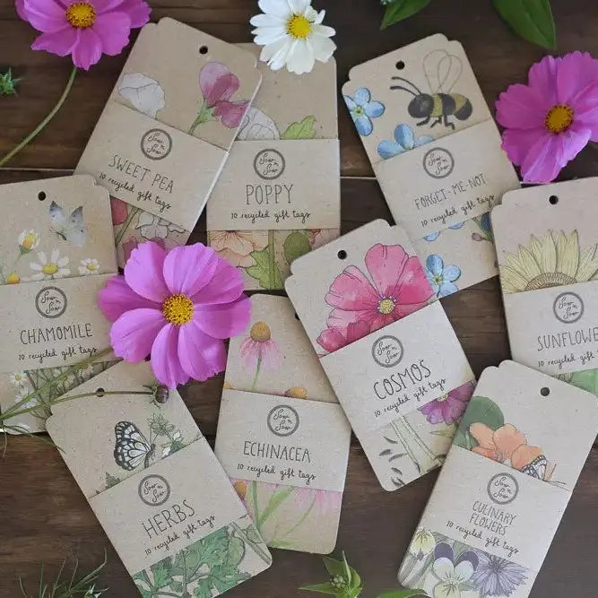 Forget-Me-Not Gift Tag - 10 Pack