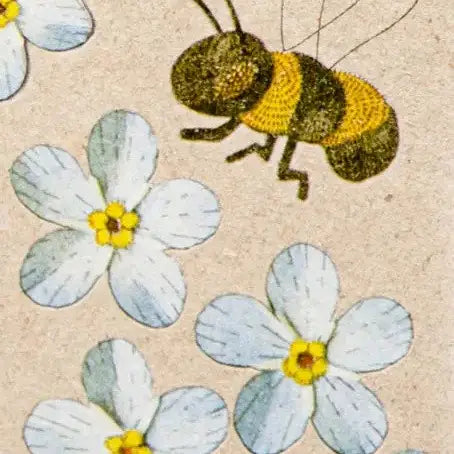 Forget-Me-Not Gift Tag - 10 Pack