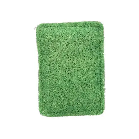 NATURAL KITCHEN SCRUBBER FOREST