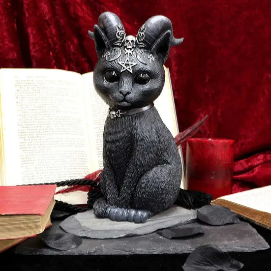 Pawzuph 26.5cm (Large) hand painted
