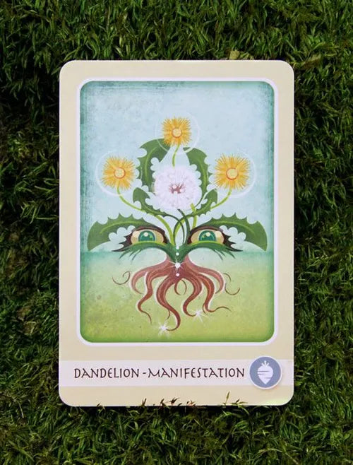 Oracle // The Healing Herbal Deck