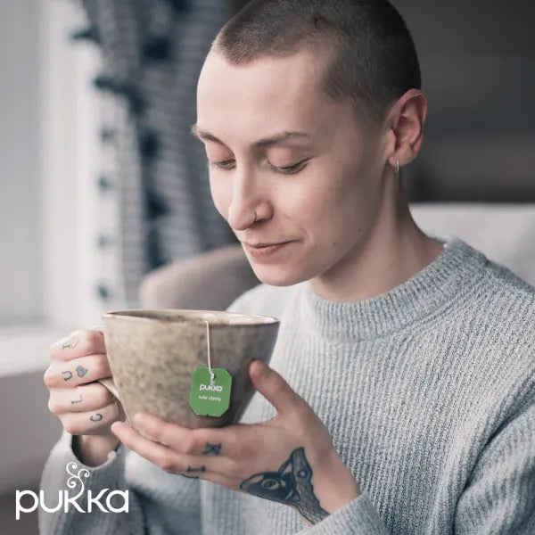 Pukka Tea Bags // Tulsi Clarity