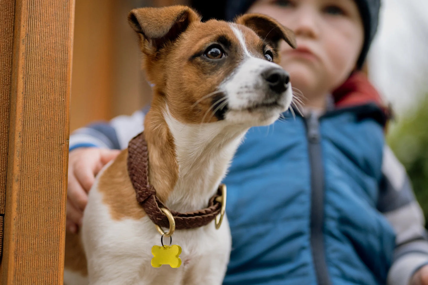 Pet Pendant