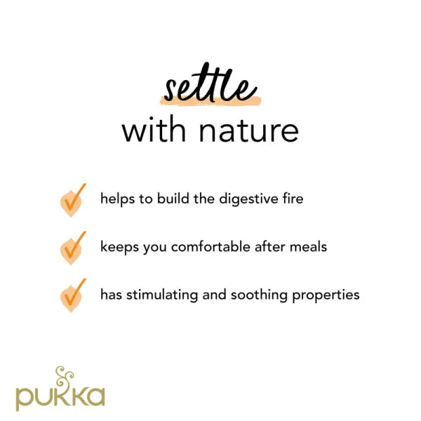 Pukka Tea Bags // Three Ginger