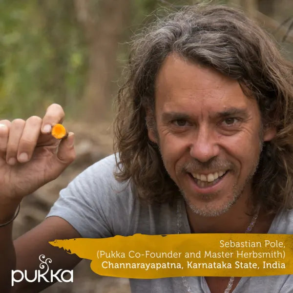 Pukka Tea Bags // Turmeric Gold