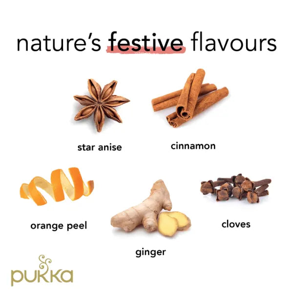 Pukka Tea Bags // Winter Warmer *NEW*