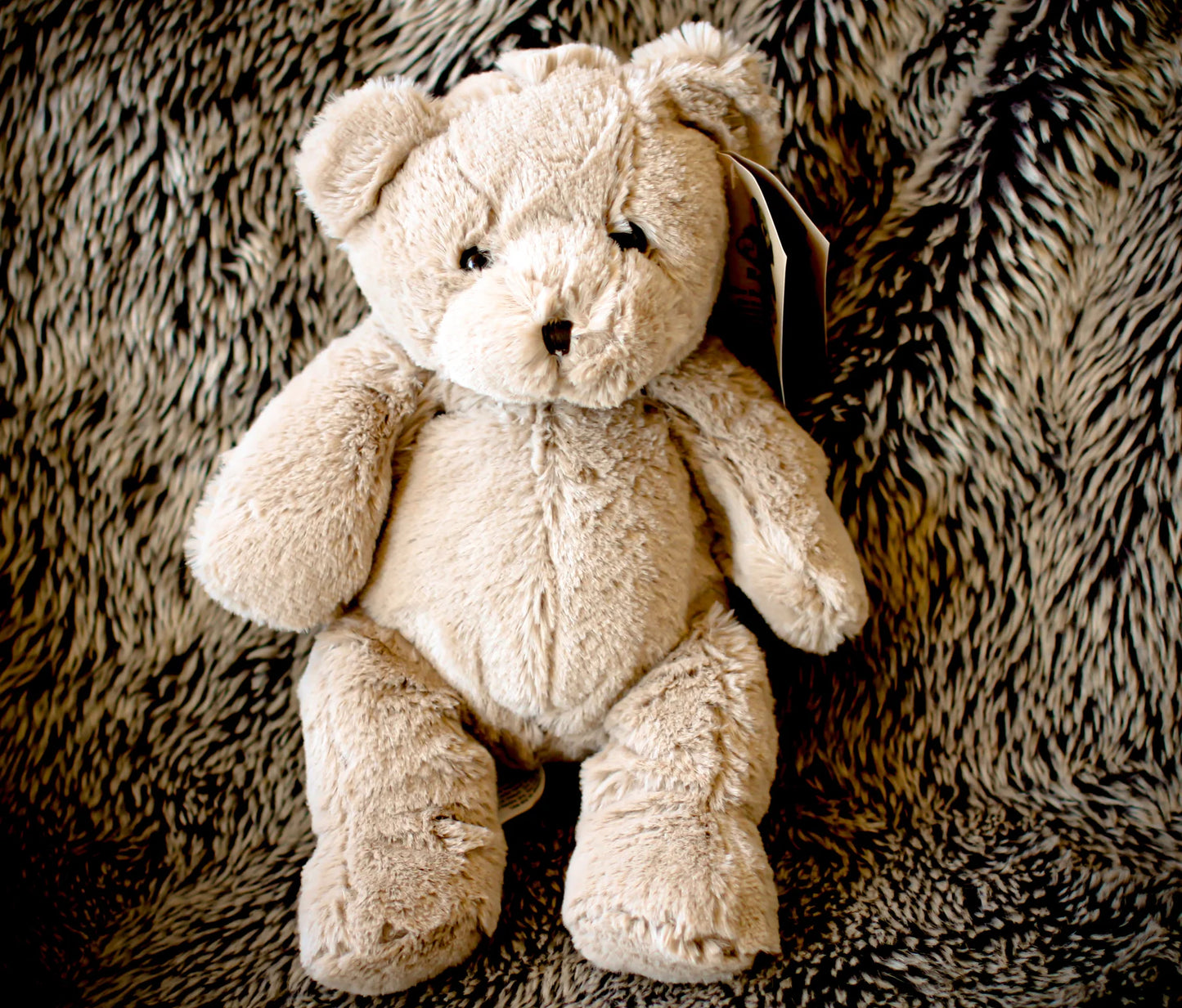Milti the Ener-Bear